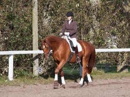 IMG_7762_web